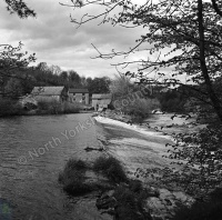 River Nidd, Scotton Weir